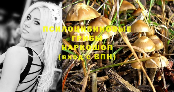 гидропоника Надым
