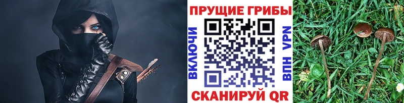 Псилоцибиновые грибы мицелий  Шуя 